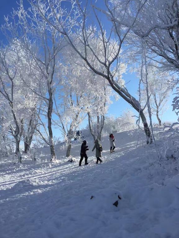 Songhua Lake Qingshan Snow View Apartment Jilin Εξωτερικό φωτογραφία