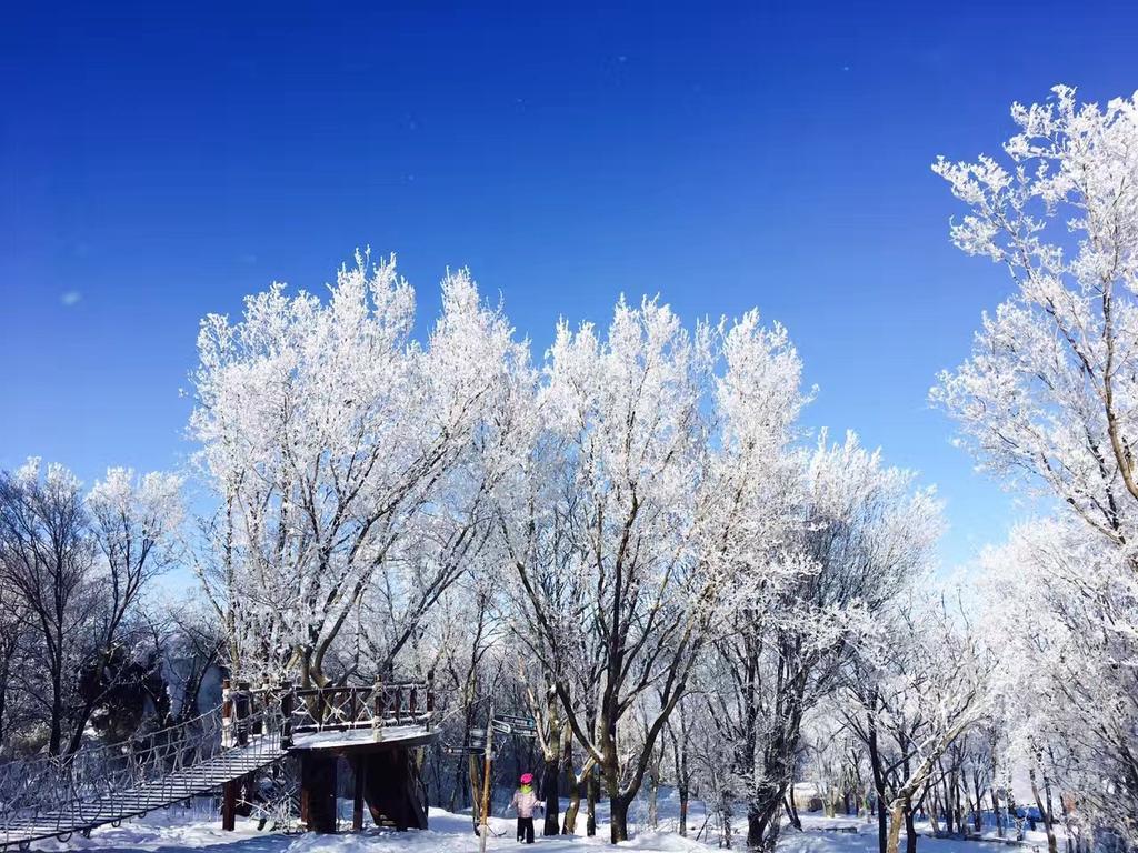 Songhua Lake Qingshan Snow View Apartment Jilin Εξωτερικό φωτογραφία